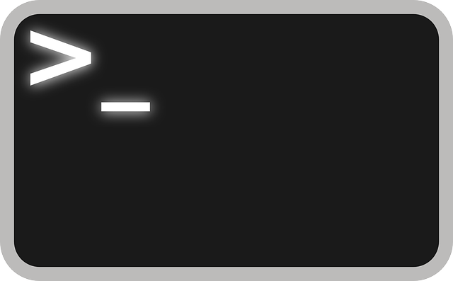 Linux Command Optionの慣習(一般的なOption一覧)