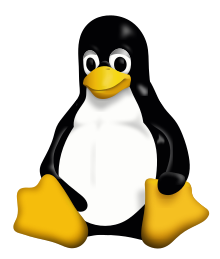 Linux Kernel: __initマクロ、__exitマクロの役割(メモリの有効利用)