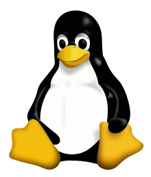 Linux Kernel: __initマクロ、__exitマクロの役割(メモリの有効利用)