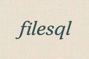 filesql logo small 300x200
